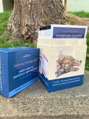 Saunders Veterinary Anatomy Flash Cards - Blue & Cream